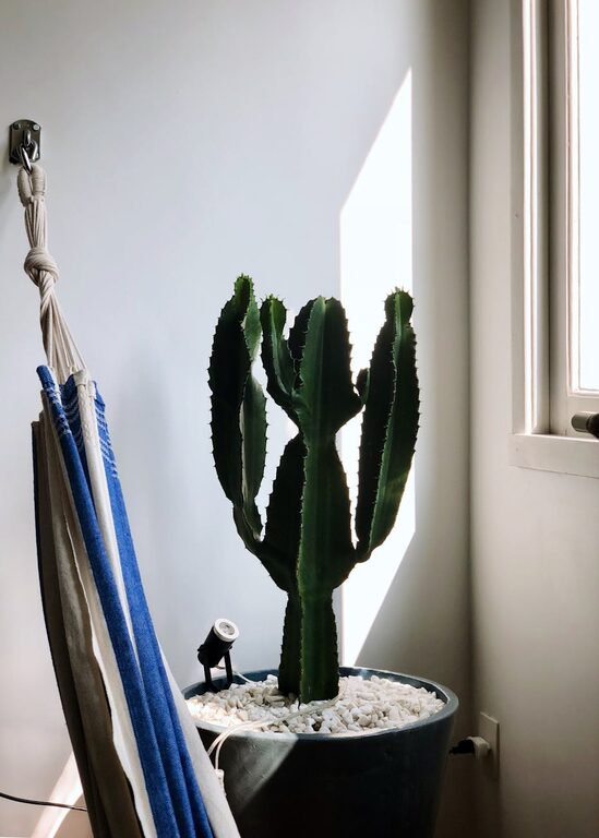 Quick Ideas to Brighten a Dark Room Easily